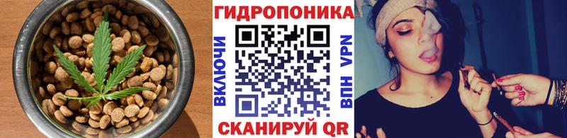 mega ONION  Строитель  Еда ТГК конопля 