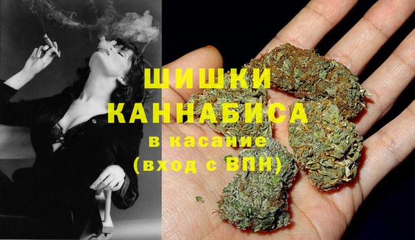 хмурый Арсеньев