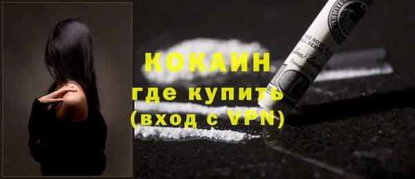 хмурый Арсеньев