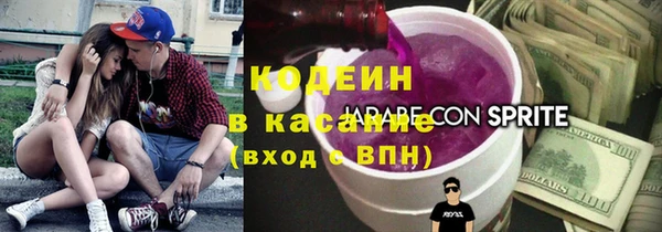индика Армянск