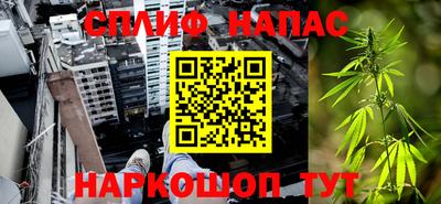 шишки Пенза