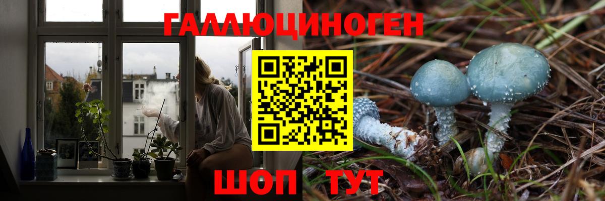 Строитель  купить   Вход с VPN  Псилоцибиновые грибы Psilocybine cubensis 